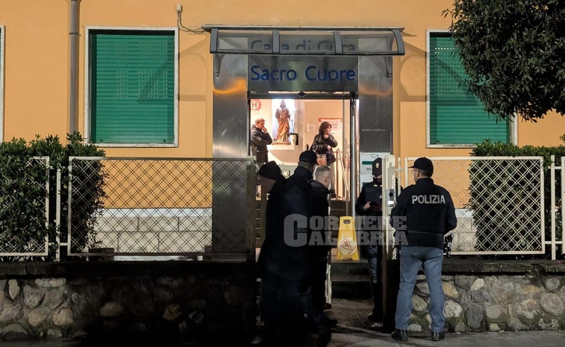 Neonata rapita a Cosenza, il proprietario della clinica: «Ripenseremo al sistema di gestione degli ingressi»