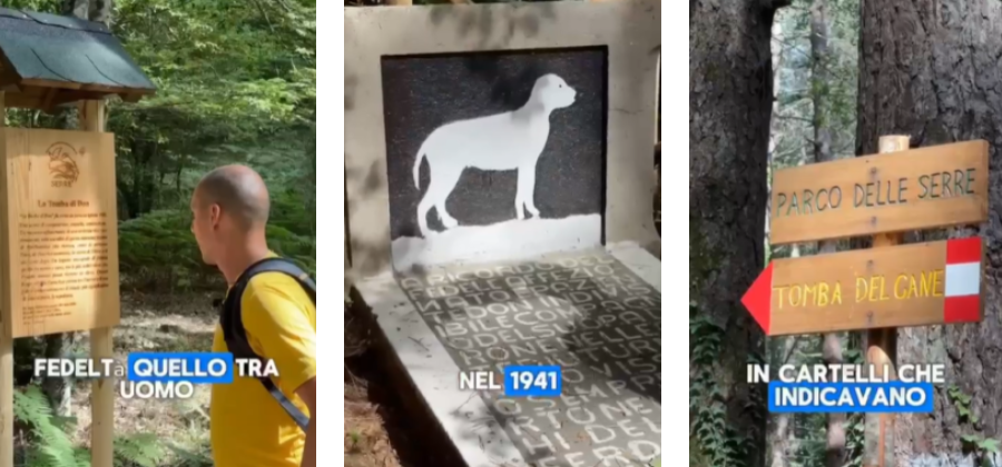 La favola del cane “Don”, una storia di amicizia nei boschi del Parco delle Serre
