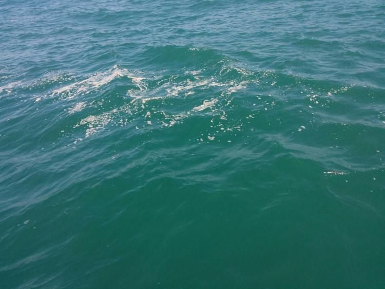 Balneazione, l'Arpacal: «Due zone non conformi nel mare di Fuscaldo»