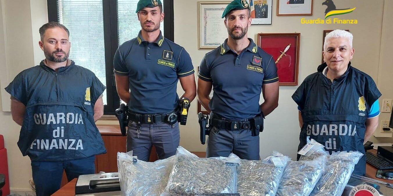 Vibo, sequestrata droga per 200 mila euro. Un arresto – VIDEO