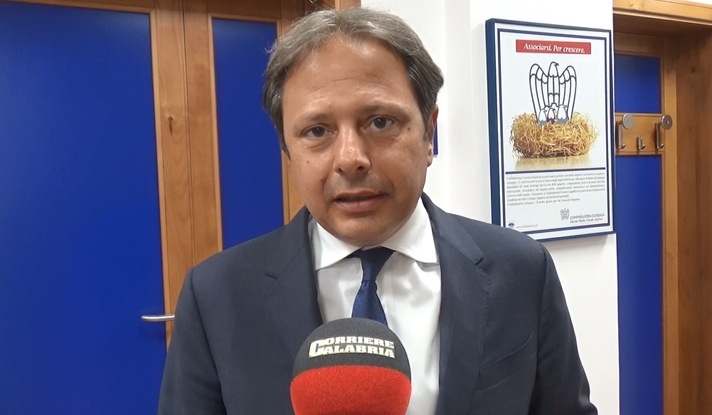 Elezioni e crisi di governo, Amarelli è duro: «Decisione irresponsabile»