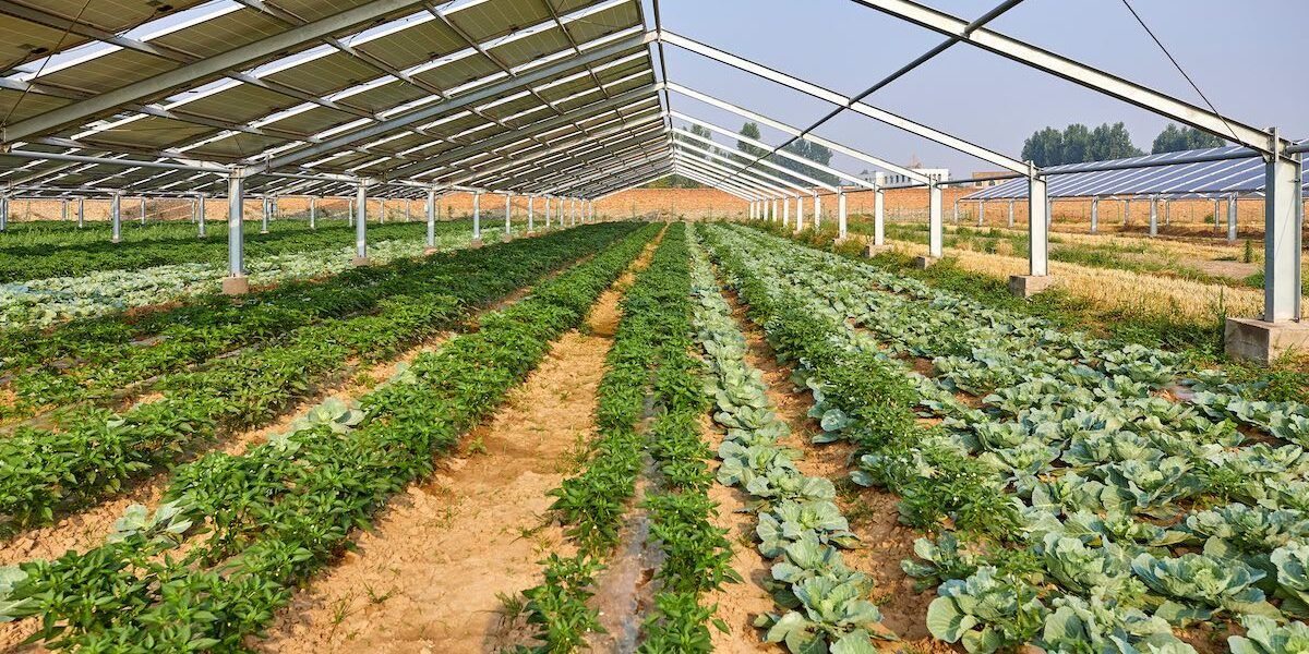 Agroenergie, a Rimini tutto pronto per “Key” con Confagricoltura