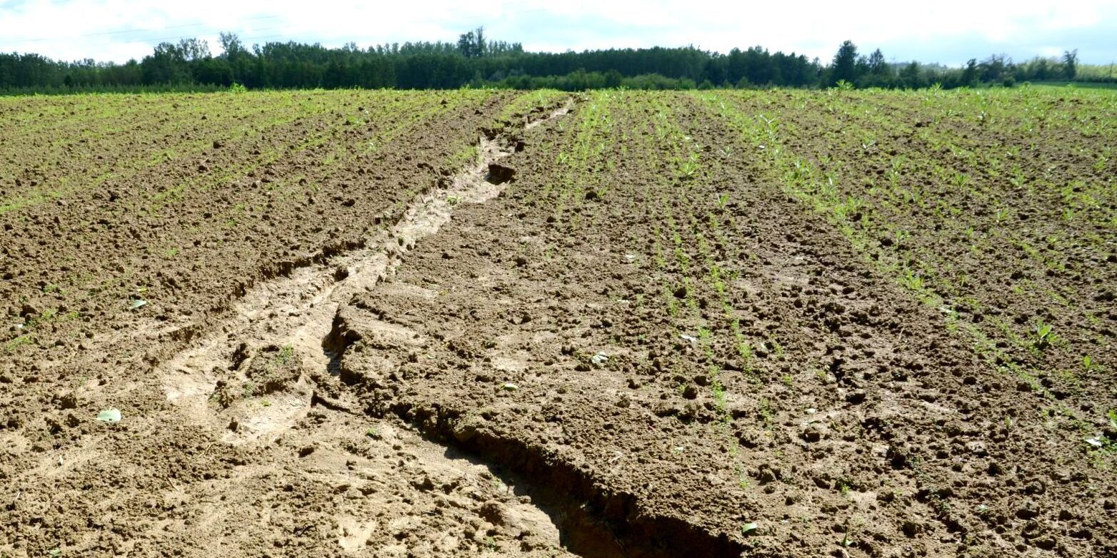 Erosione del suolo, Italia maglia nera (con Crotone e Vibo in testa)