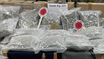 Maxi carico di marijuana, 231 chili nascosti in un tir dalla Spagna