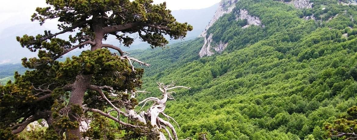 «Un angolo di paradiso», la bellezza del Pollino nelle Guide di Repubblica
