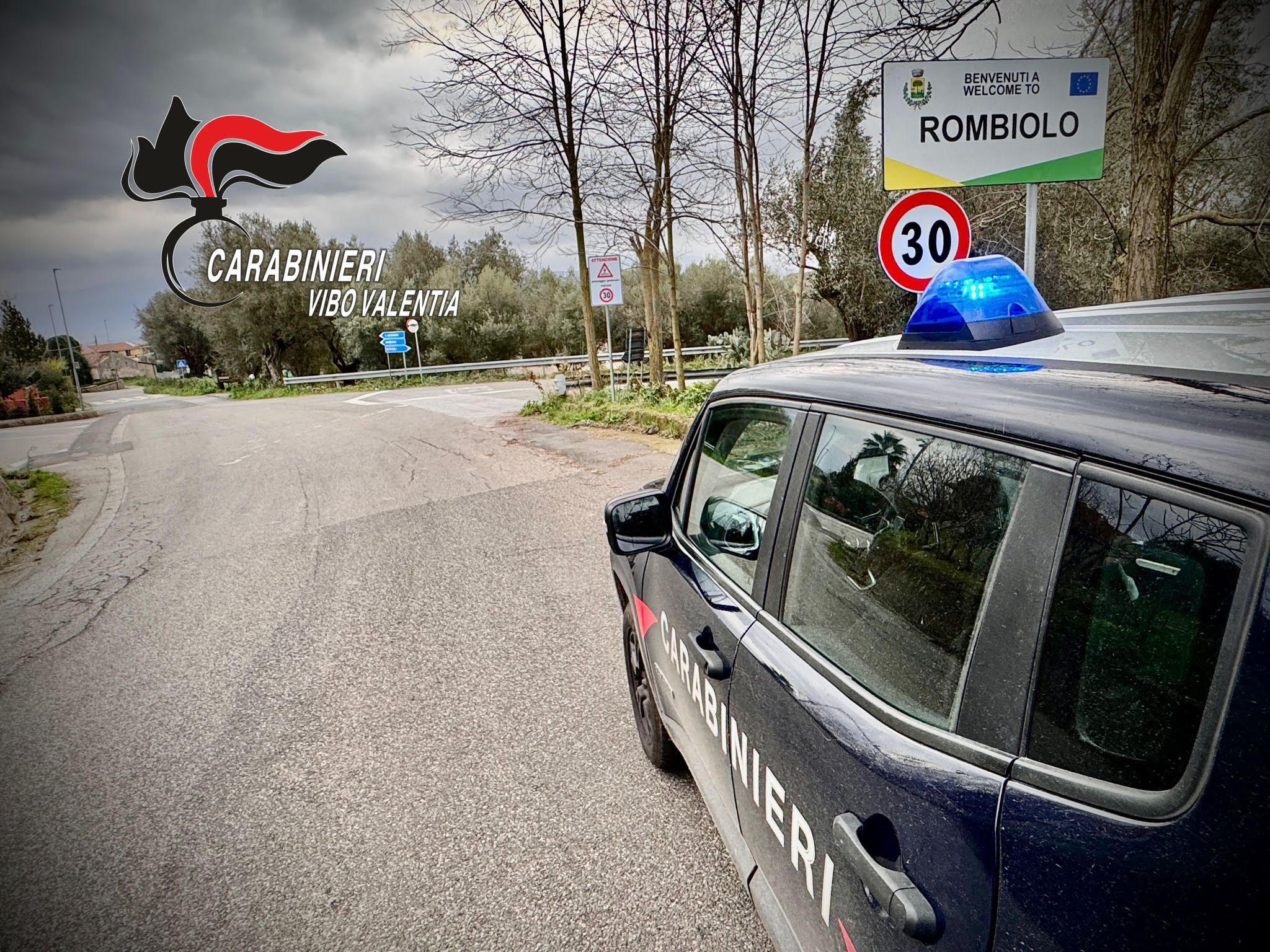 Munizioni in casa senza porto d’armi: una denuncia nel Vibonese