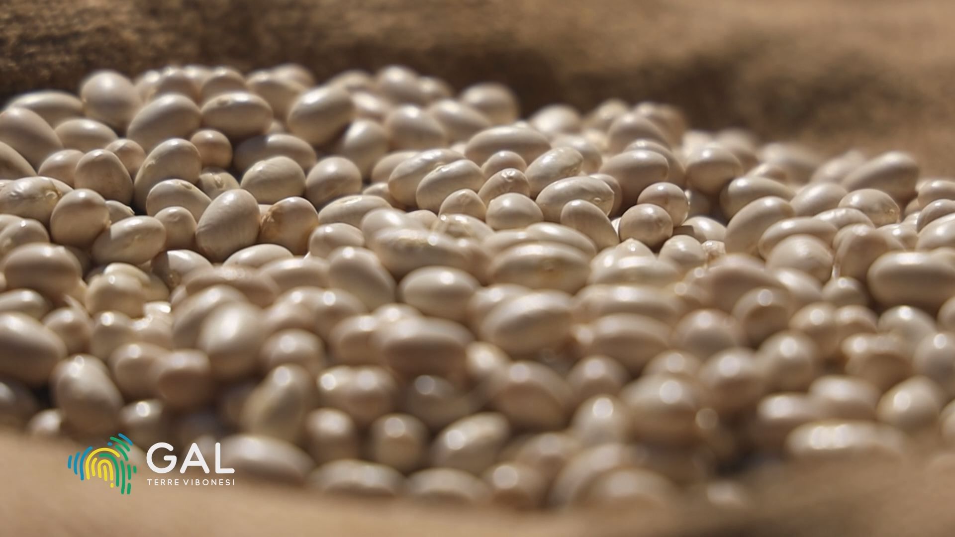 La Sujaca, piccolo e prezioso “intermezzo” della Cipolla Rossa di Tropea – VIDEO