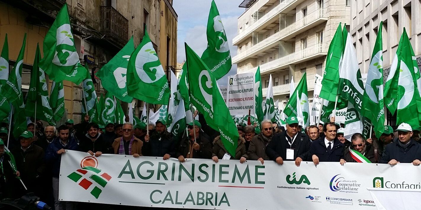 Arcea, Agrinsieme: «Del Castello resti alla guida»