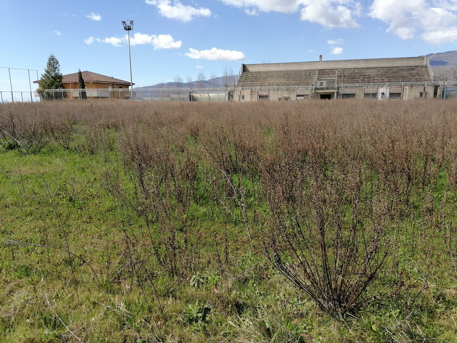 Lamezia, la denuncia: «Campo sportivo Fronti in totale degrado»