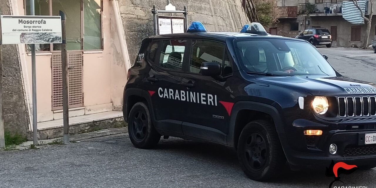 Illecito smaltimento di rifiuti speciali in un terreno privato, in tre denunciati a Reggio Calabria