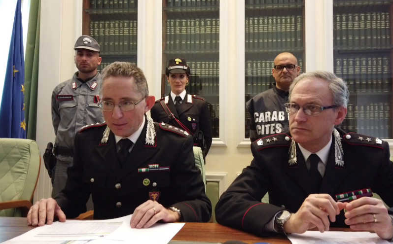 Carabinieri forestali, 1,492 denunce in Calabria e Sicilia nel 2018