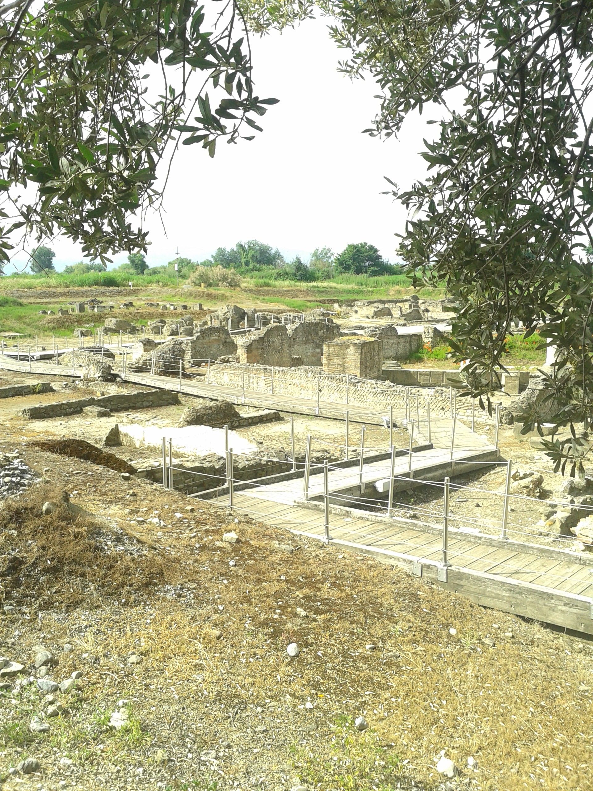 «Il futuro della Piana di Sibari punta alla frutticoltura di qualità»