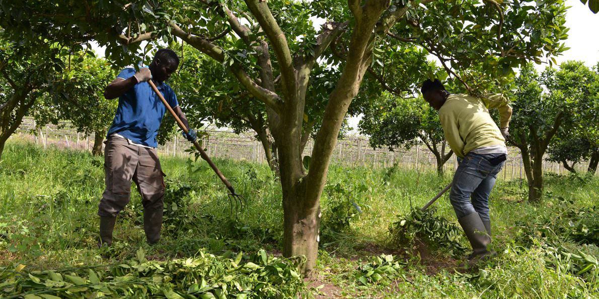 Regolarizzazione migranti, Bruno Bossio: «E' un atto di civiltà»