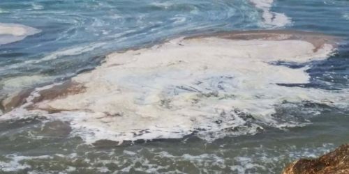 2021_mare_sporco_tirreno-1d6f1881