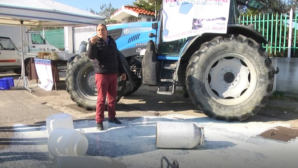 Protesta del latte, allevatori crotonesi solidali con i pastori sardi