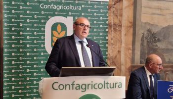 Per Pasqua prenotazioni in linea con lo scorso anno. Incertezza per l’estate