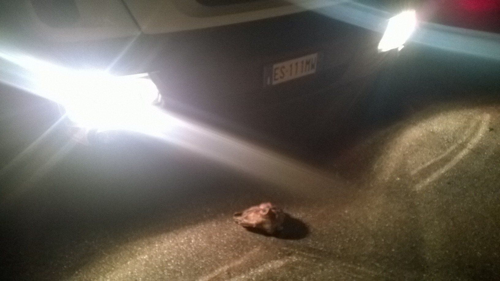 Macabro avvertimento a Vazzano