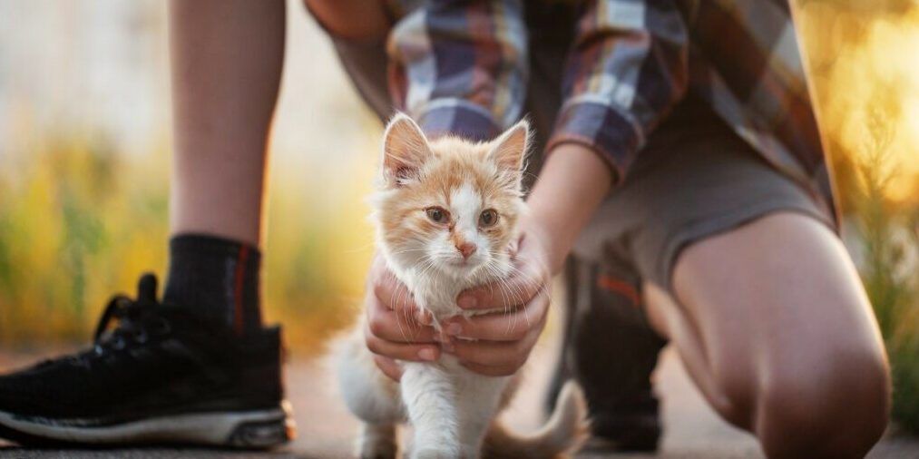 «La storia di Paolo e il senso di essere comunità solidale»