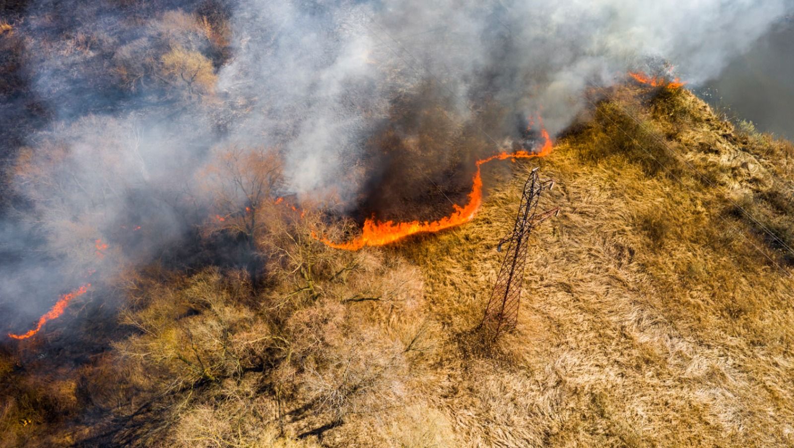 Incendi in Calabria, l’allarme di Legambiente: «Non è un’emergenza, ma una crisi strutturale»