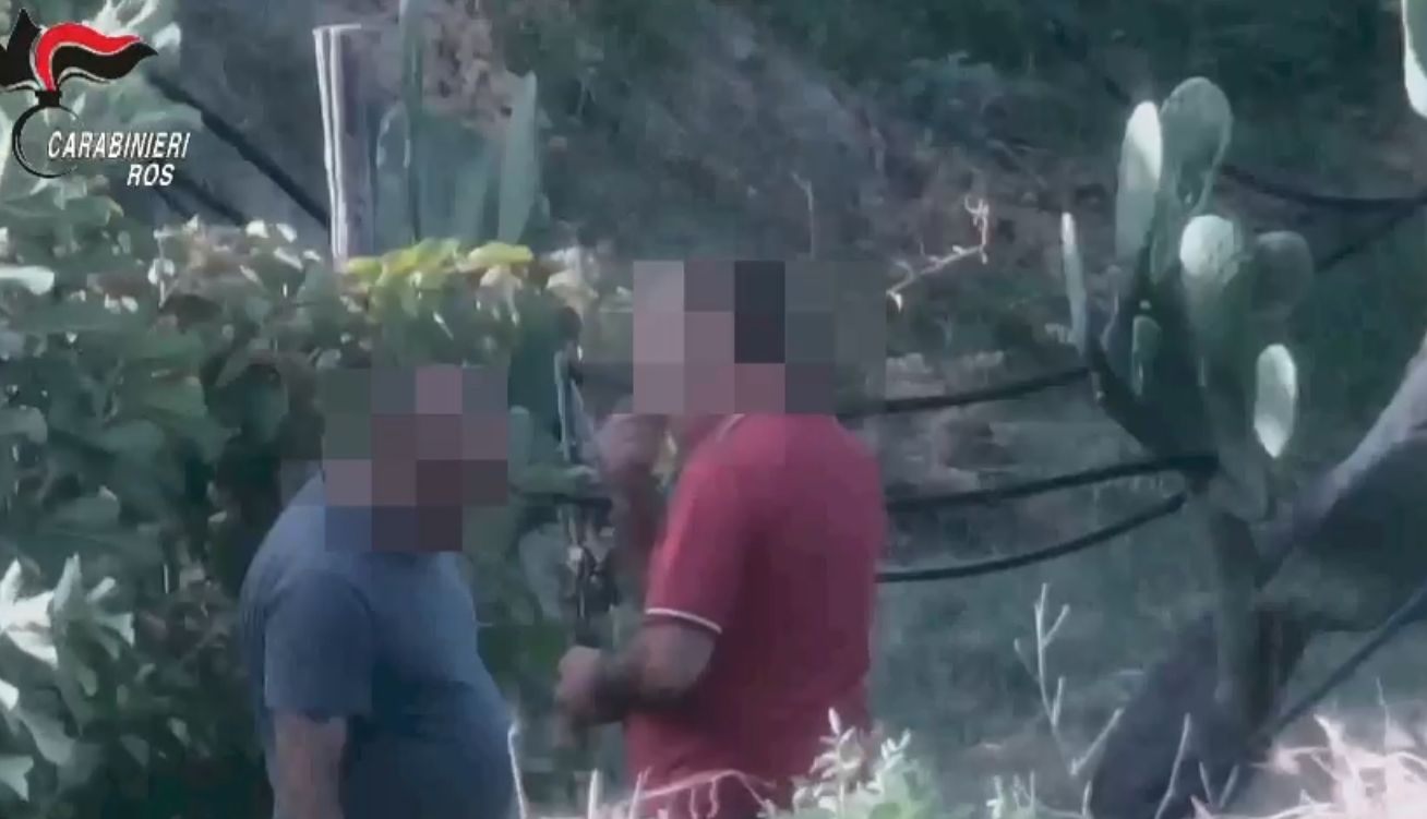 Processo “Glicine”, in abbreviato 9 condanne e 15 assoluzioni – NOMI