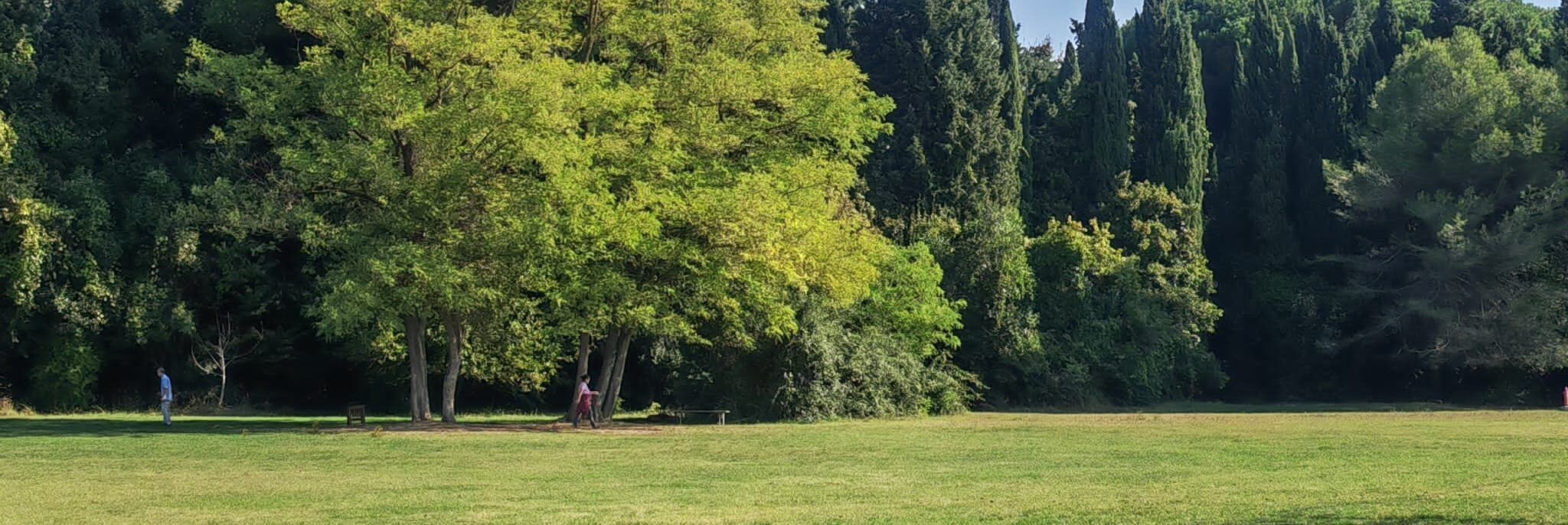 Verde urbano, a Pesaro il primo parco della salute certificato