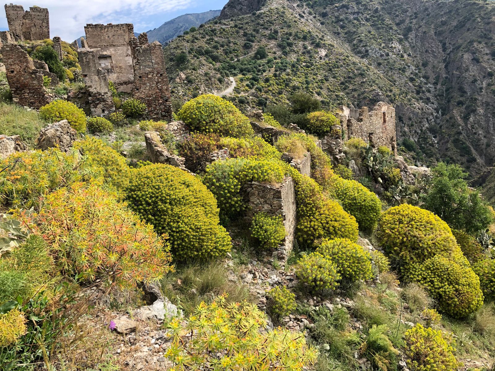 Piano nazionale Ripristino natura, finanziati 10 progetti della Regione Calabria per oltre 7,8 mln