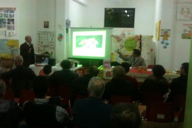 Insetto killer delle api, l'allarme delle associazioni di settore