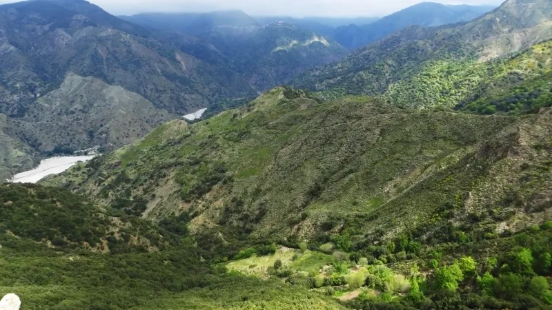 Agricoltura, erogati oltre 36 milioni a sostegno delle zone montane e soggette a vincoli