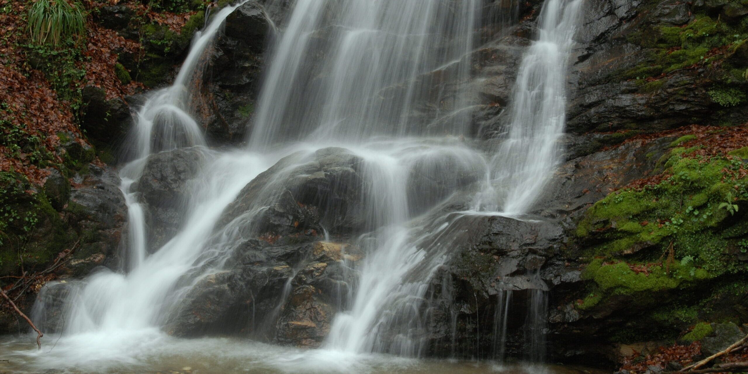 Parco dell’Aspromonte, carabinieri ed Ente firmano Piano operativo 2021