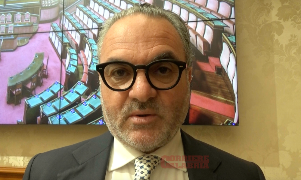 Olivicoltura, Statti: «Un settore strategico in Italia, deve tornare competitivo»