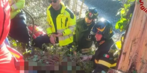 operaio travolto da albero
