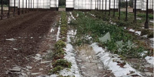 danni maltempo calabria