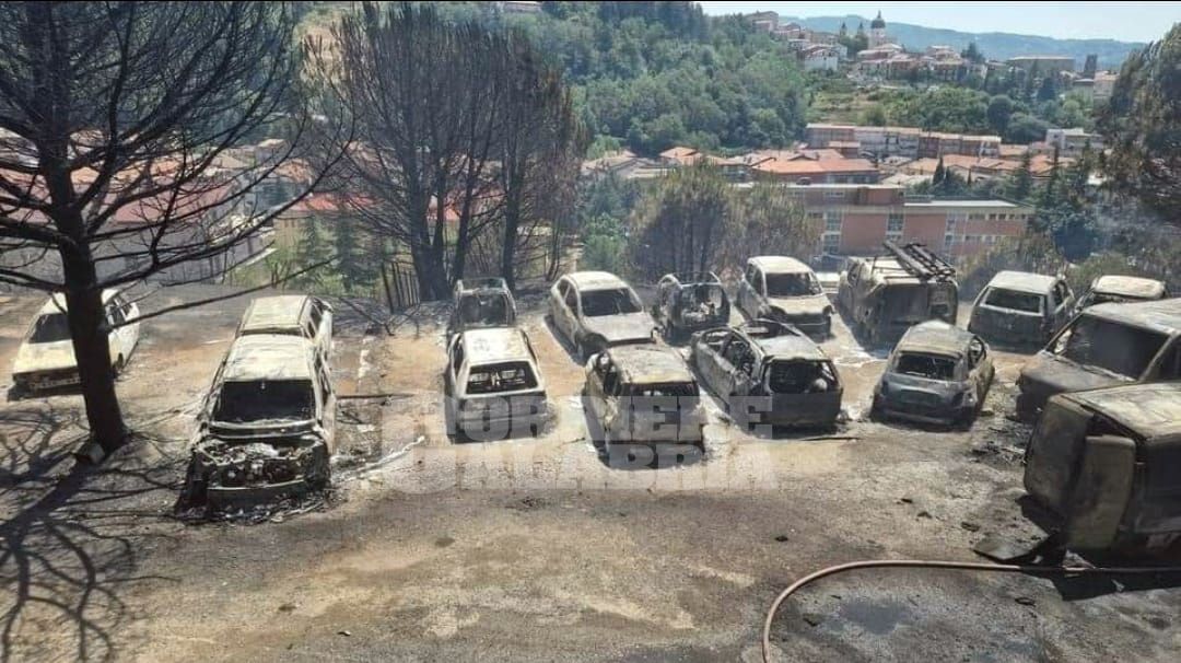 Vasto incendio ad Acri: distrutta la vegetazione e le auto di una concessionaria