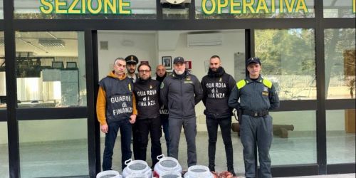 Riace Marina, sotto sequestro oltre mezza tonnellata di novellame
