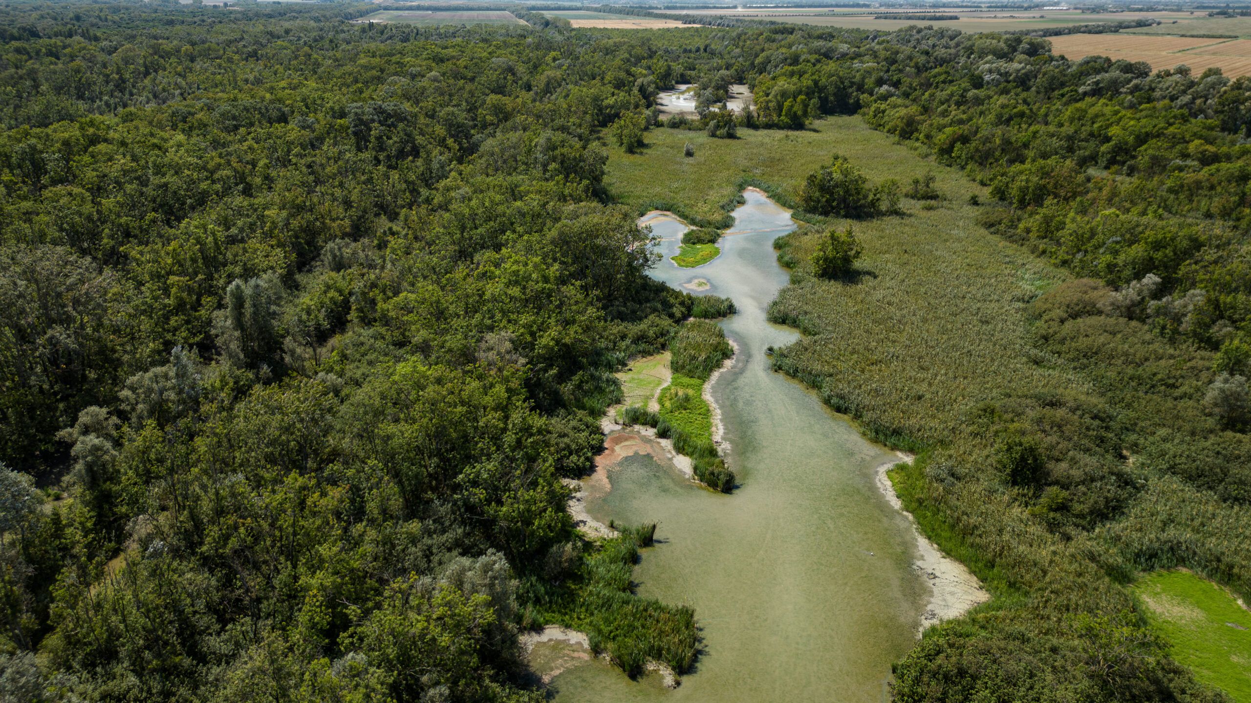 Confagricoltura presenta Parco Italia: «Verranno piantati 70.000 alberi»