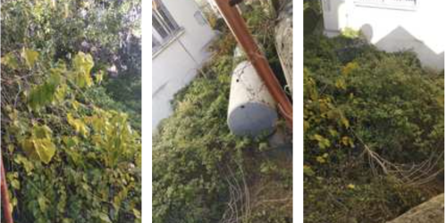 Catanzaro l'ex scuola Maddalena