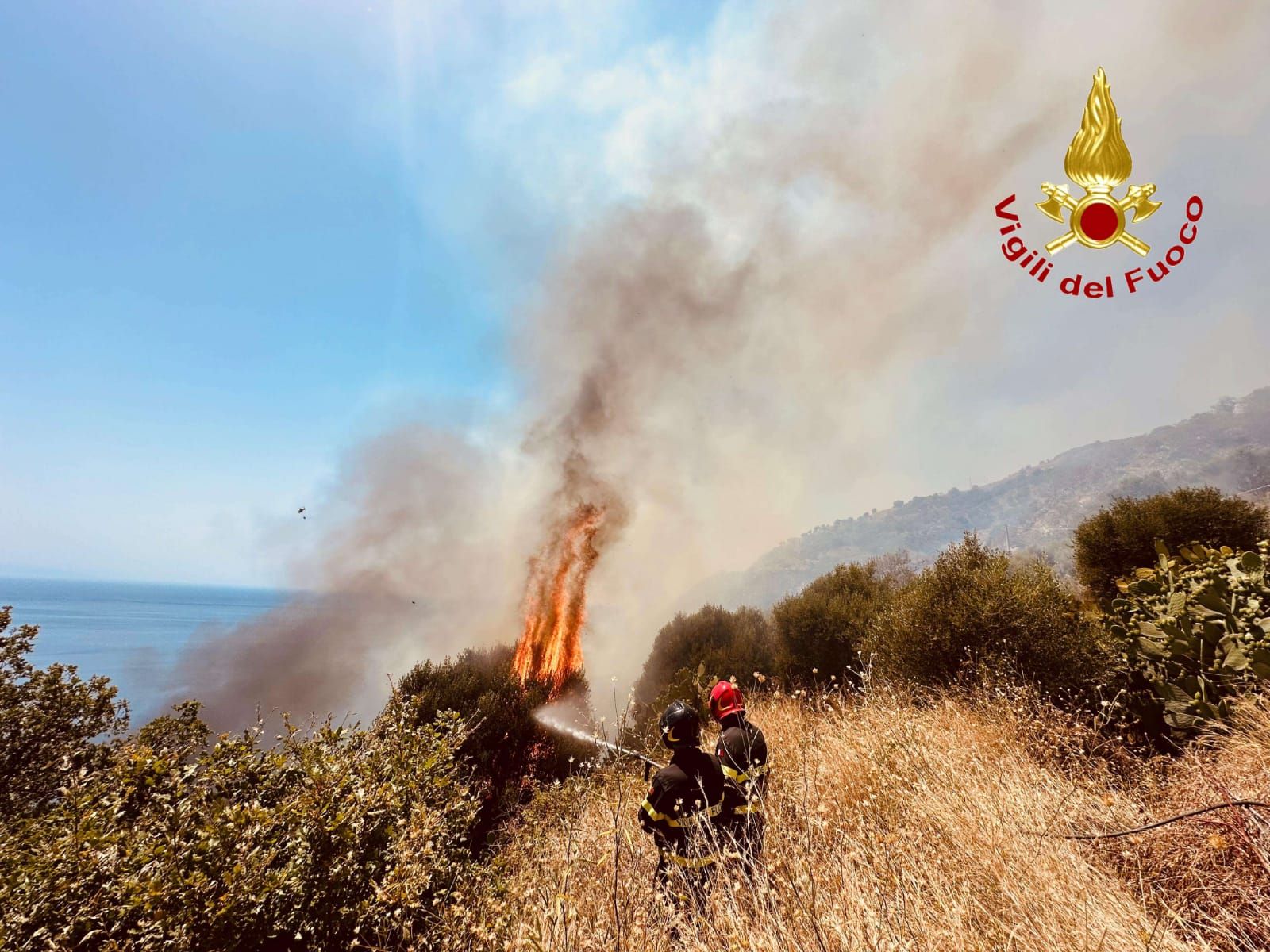 Incendi nel Vibonese, quasi 50 interventi in 24 ore