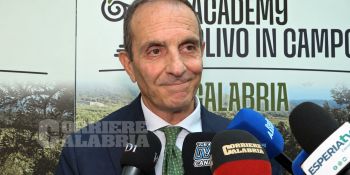 Olio, la Calabria alla prova della “nuova” olivicoltura
