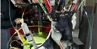 La polizia sequestra oltre due quintali di fuochi d’artificio nel Vibonese