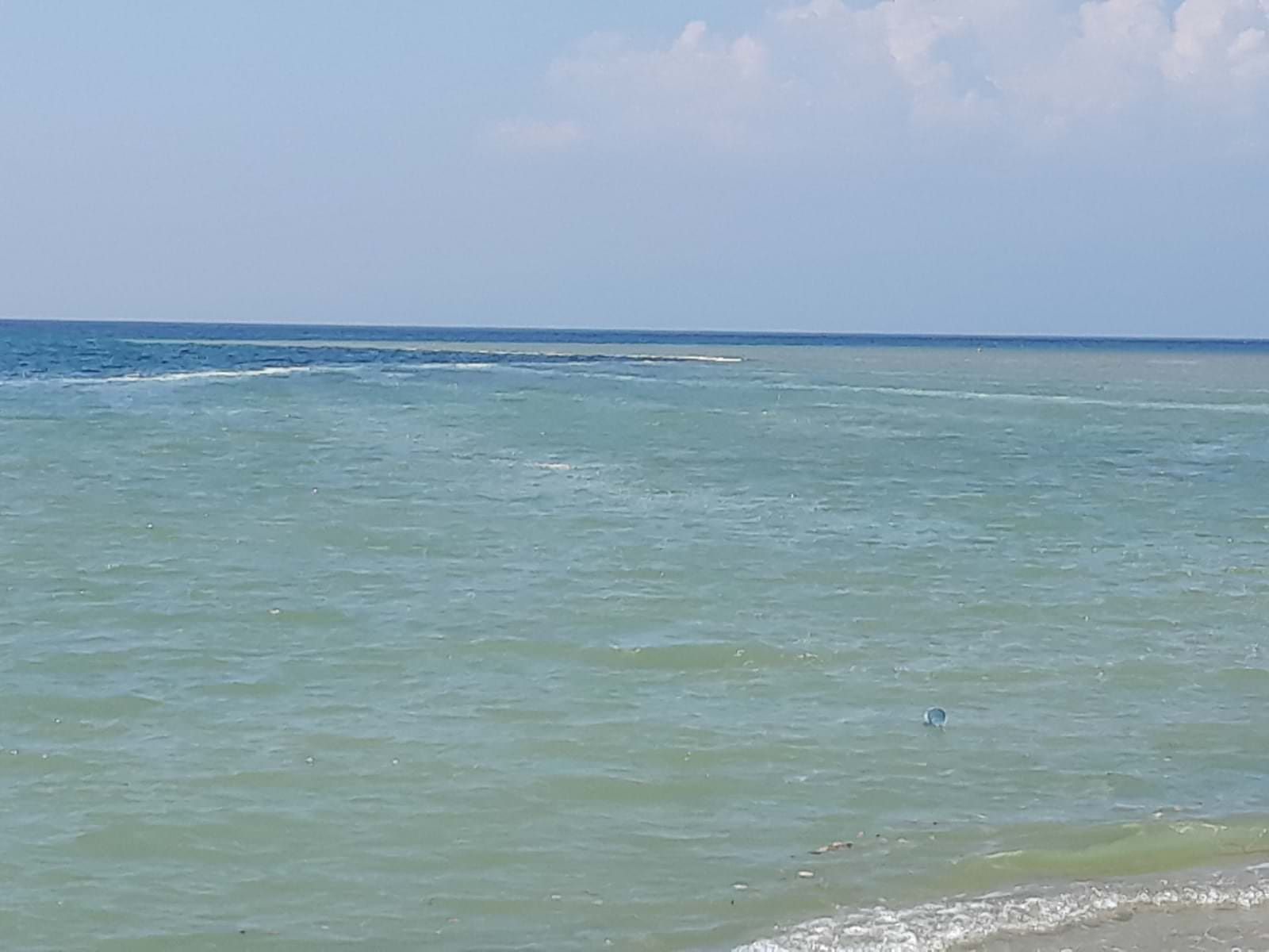 «Mare sporco a Sellia e Acquappesa», le segnalazioni dei lettori