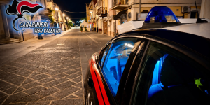 Controlli nel Vibonese, quattro denunce e 50 chili di alimenti sequestrati. Sospeso un ristorante