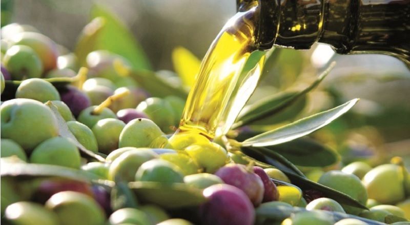 San Pietro a Maida verso il Festival dell’olio. Il sindaco Giampà: «Prodotto identitario»