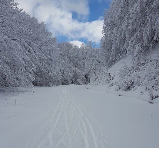 L'Oscar del freddo va a Botte Donato