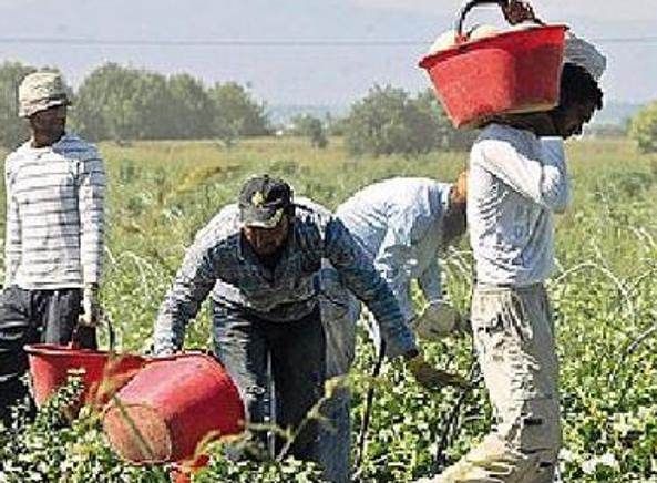 BUSINESS MIGRANTI | «Se riposavamo ci prendevano a calci» – IL VIDEO