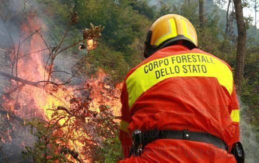 Il Cfs: al Sud il 61% degli incendi boschivi