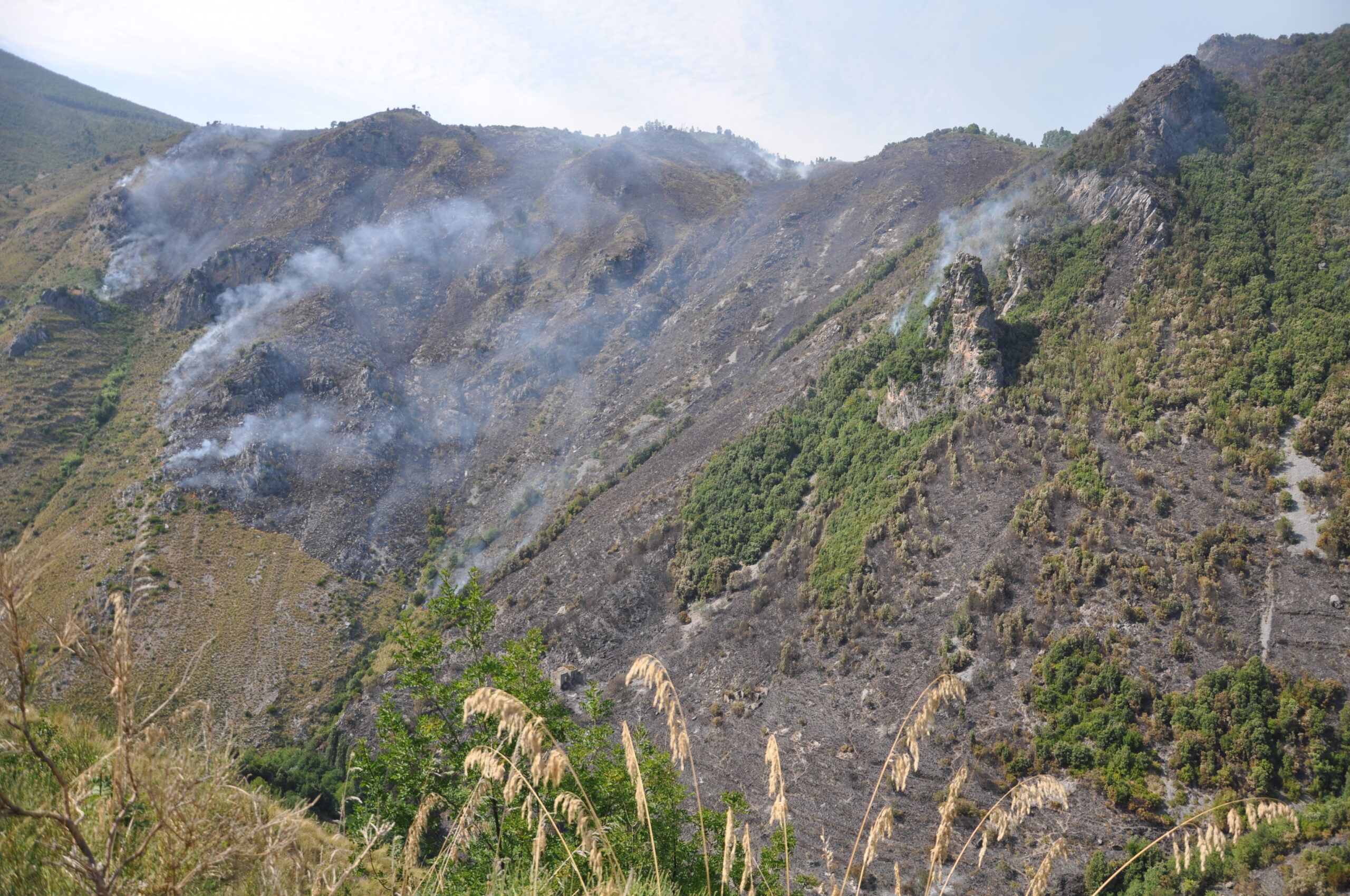 «Calabria: i piromani e le ferie d’agosto»