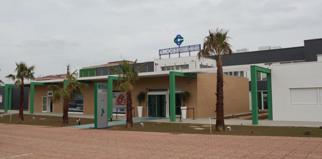 Bcc del Crotonese, la “finta” sostituzione del responsabile antiriciclaggio