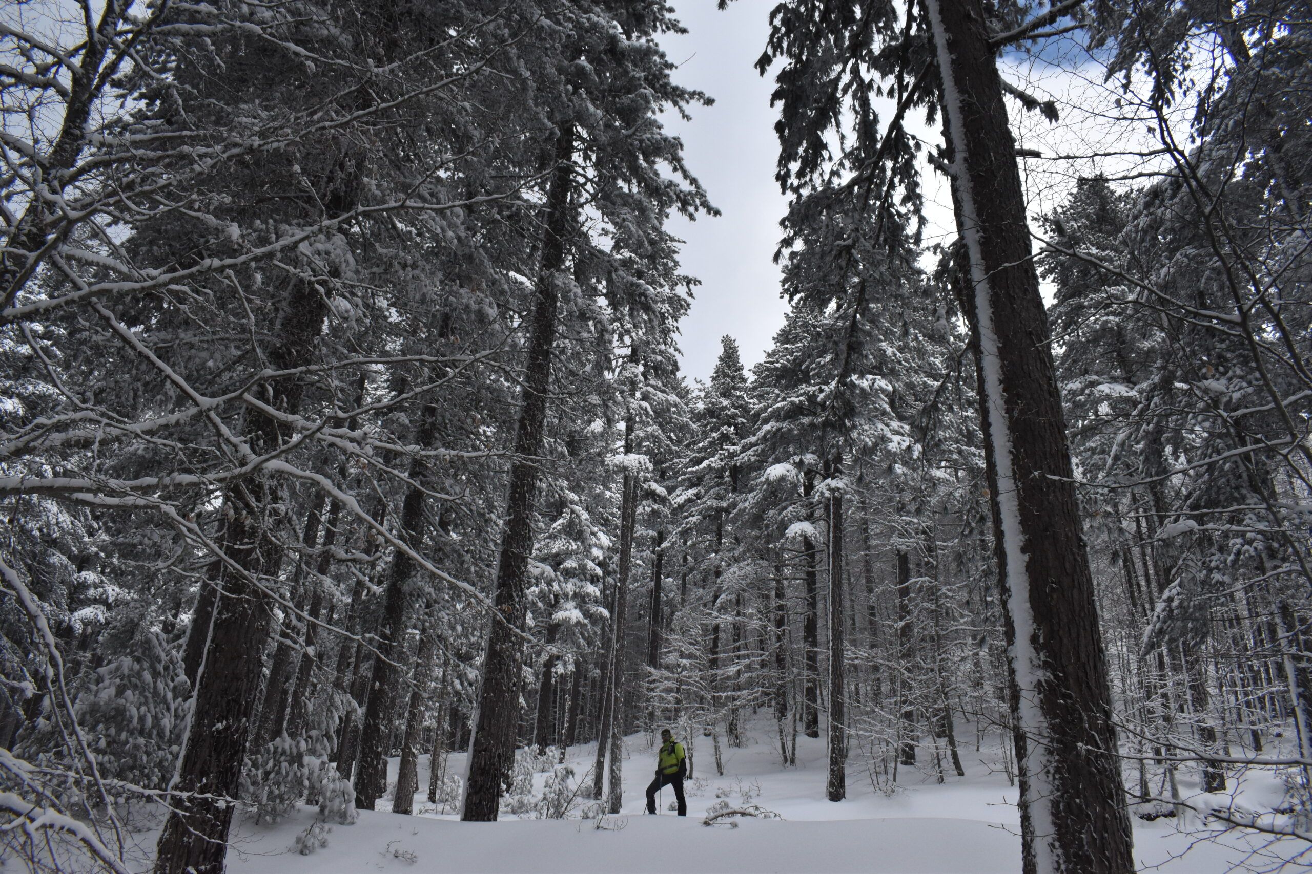 «La neve, gli ingorghi in montagna e la fame atavica»