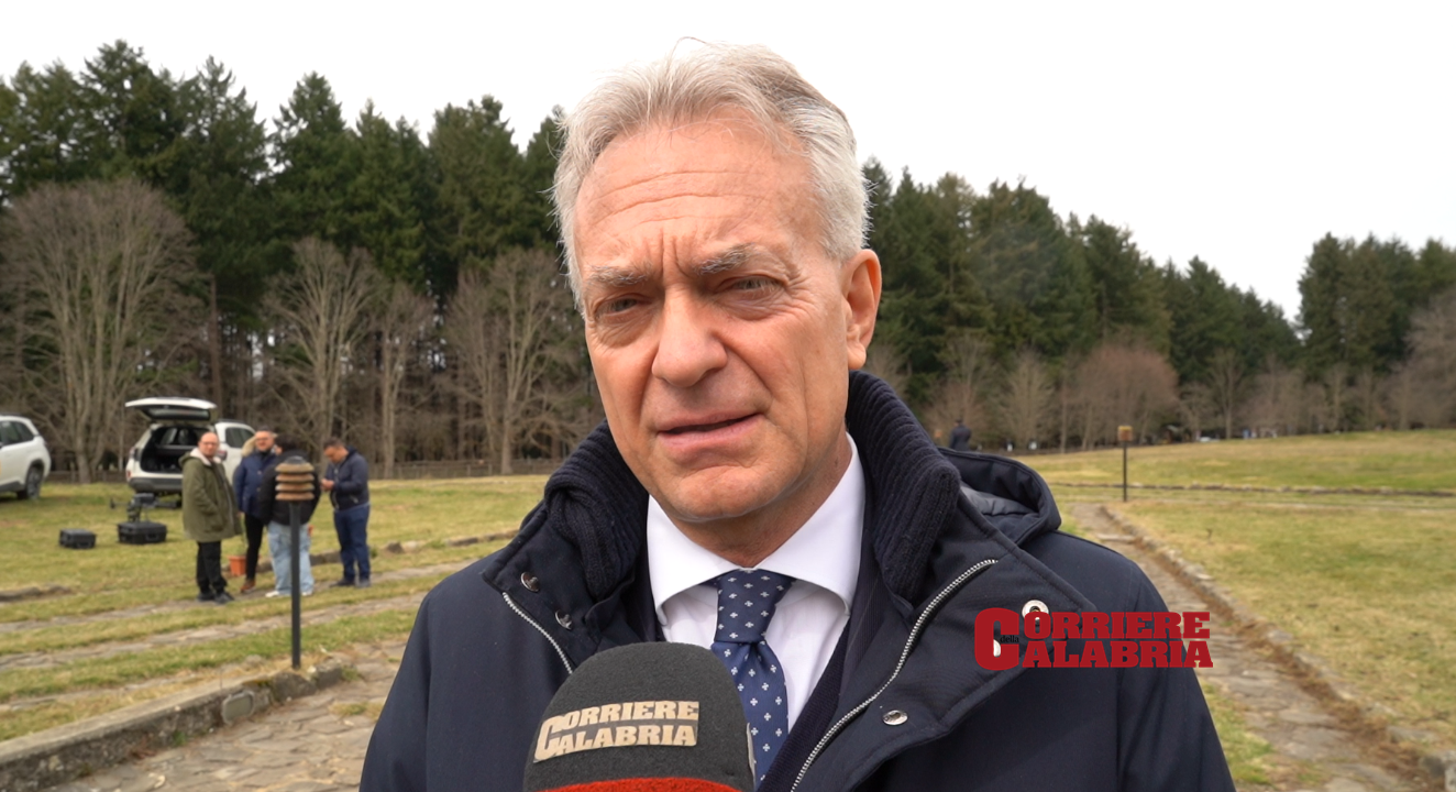 Stati Generali delle Foreste, «filiera bosco-legno, vivaistica e crediti di carbonio per rilanciare il settore» – VIDEO