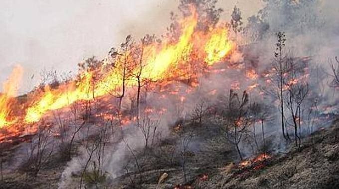 «Solidarietà agli operai di Calabria Verde feriti negli incendi»
